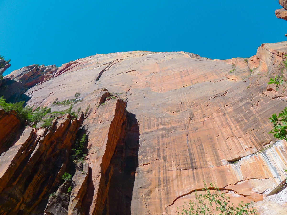 Sheer cliffs along Upper Pools on Emerald Pools hike in Zion National Park