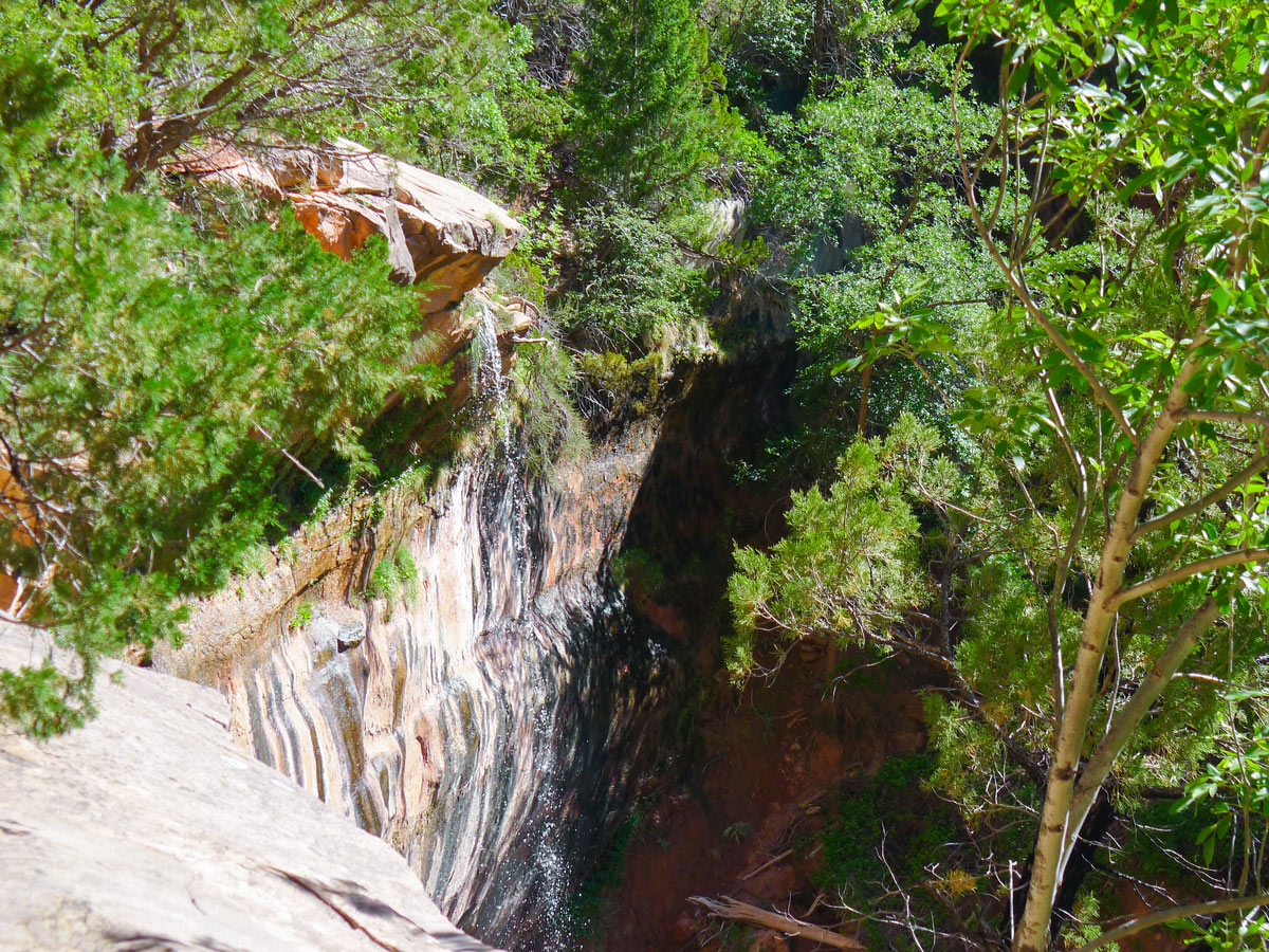 Emerald Pools hike in Zion National Park has amazing scenery