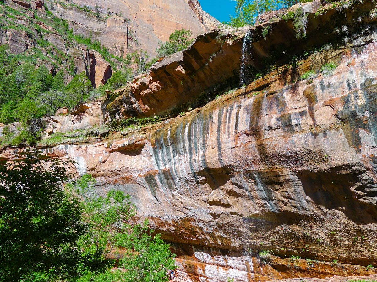 Beautiful waterfall on Emerald Pools hike in Zion National Park