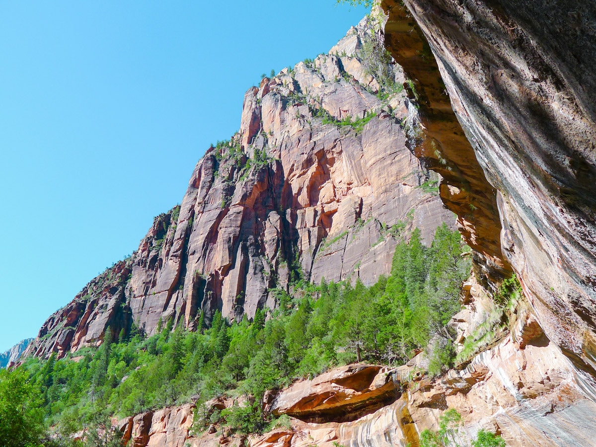 Emerald Pools hike in Zion National Park is a lovely trail in Utah