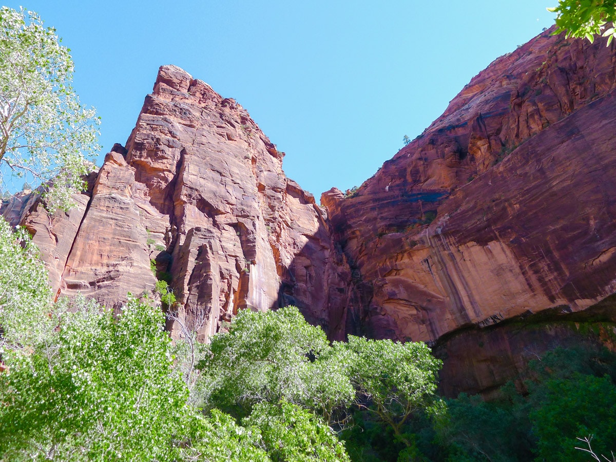 View of the Cliffs of Zion on the Emerald Pools hike in Zion National Park