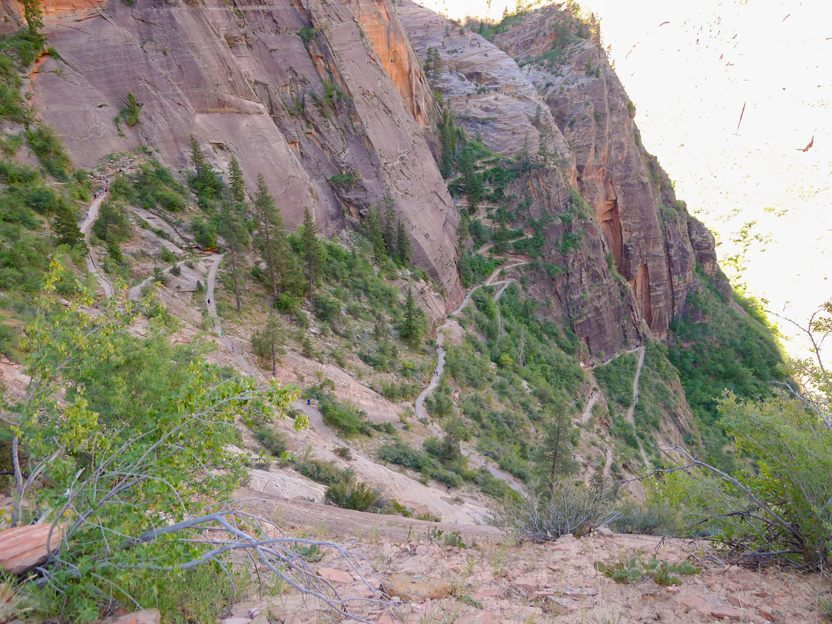 Switchbacking on Hidden Canyon hike in Zion National Park