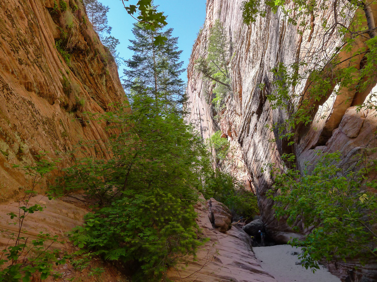 Slot canyon view on Hidden Canyon hike in Zion National Park, Utah