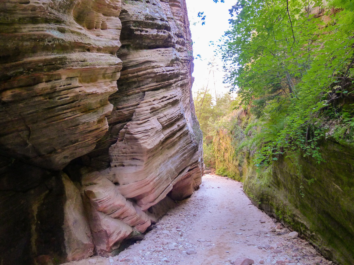 Hidden Canyon hike in Zion National Park leads through lush slot canyon