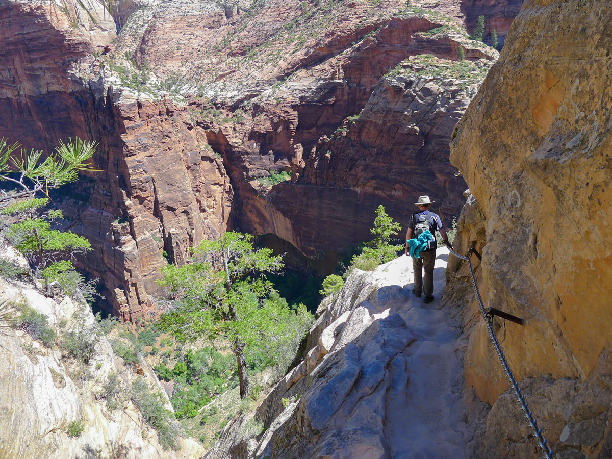 Cliff lined trail on Hidden Canyon hike in Zion National Park