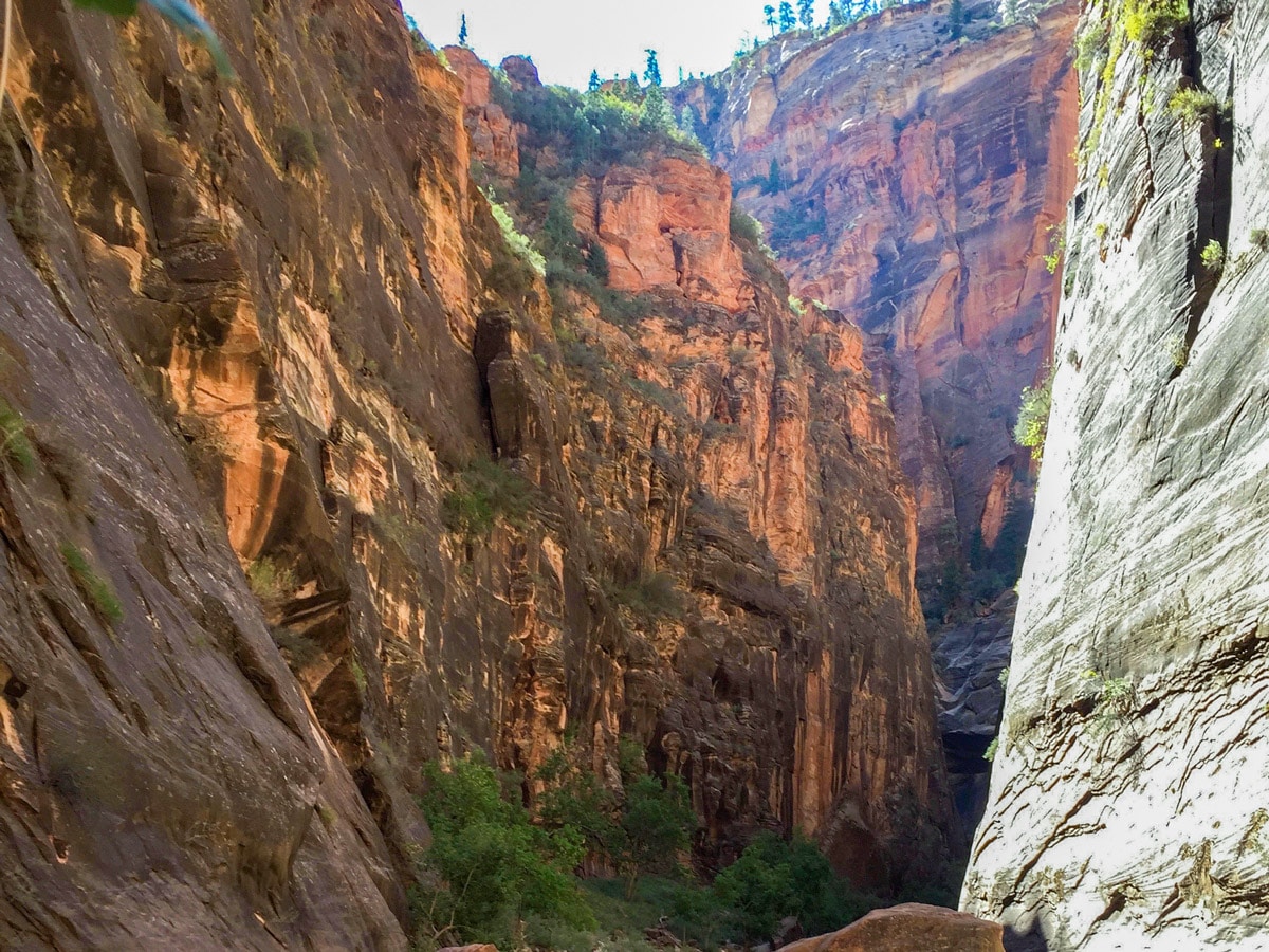 Looking upon the Narrows hike in Zion National Park, Utah