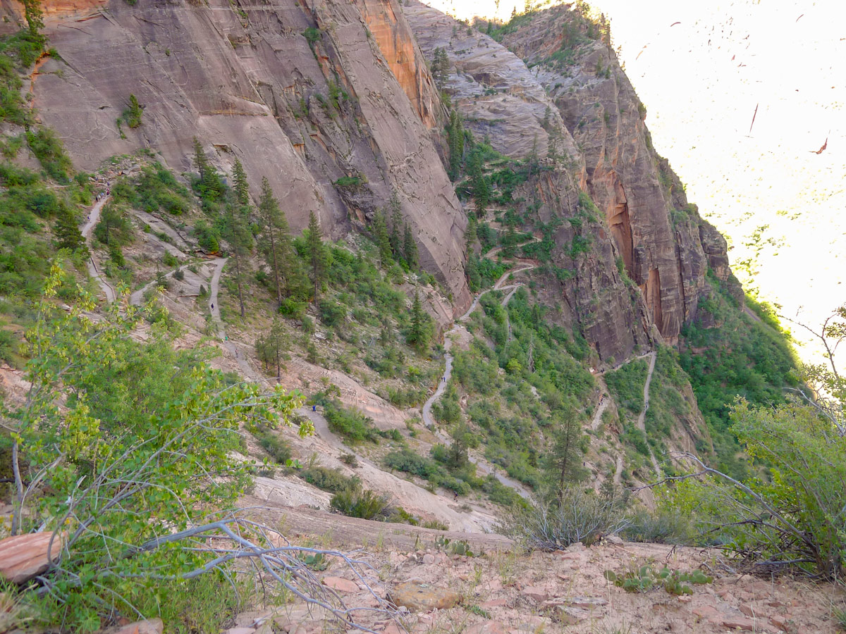 Switchbacks on Observation Point hike in Zion National Park, Utah