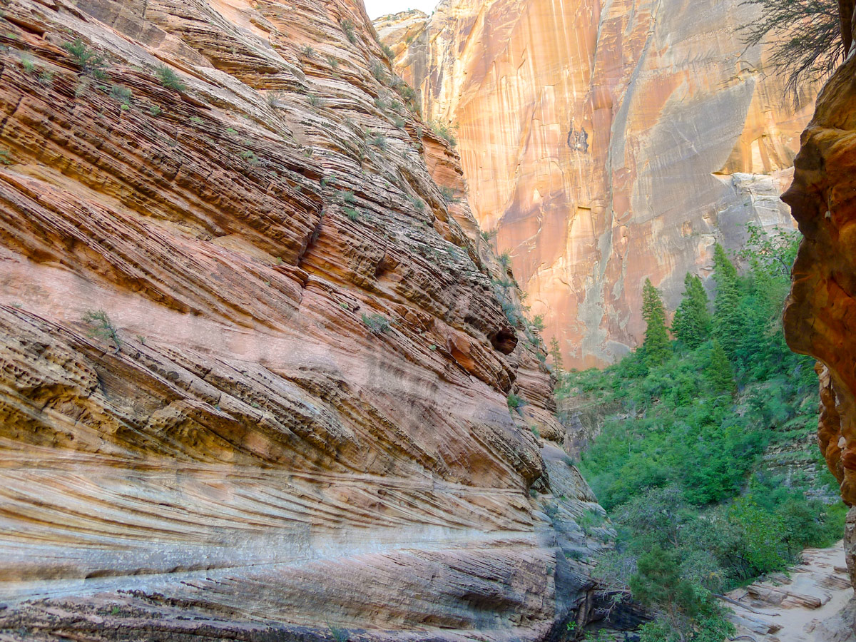 Rock formations on Observation Point hike in Zion National Park, Utah
