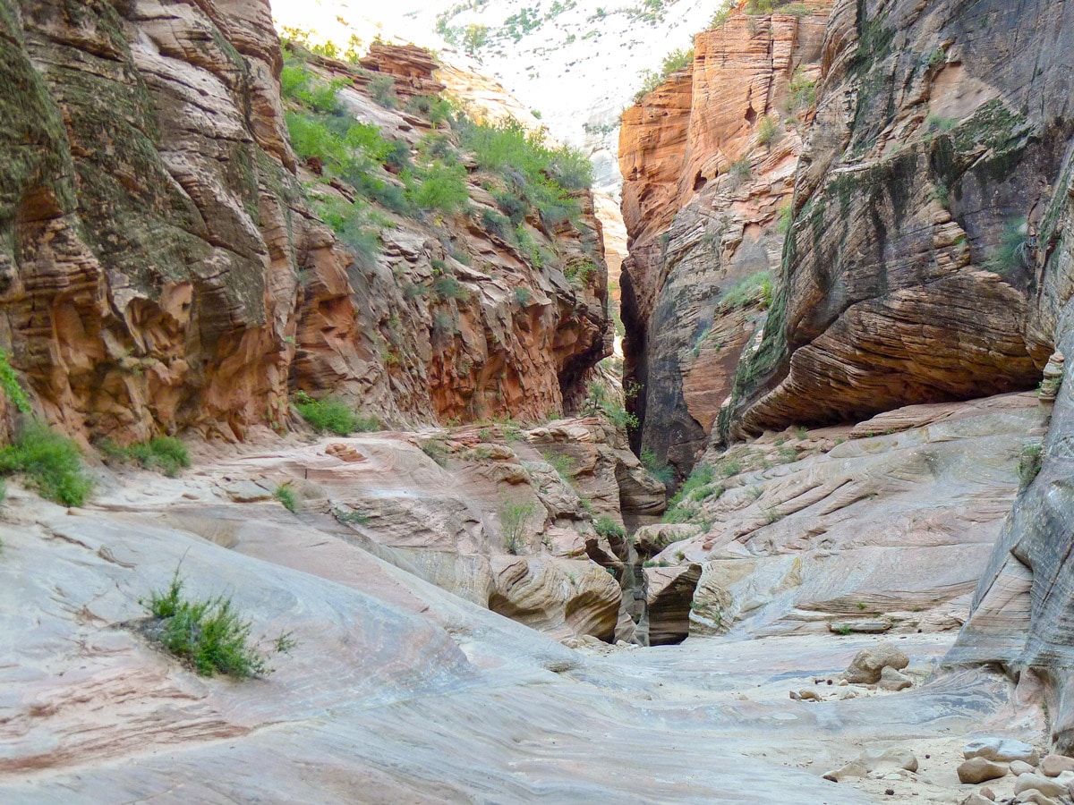 Slot Canyon on Observation Point hike in Zion National Park, Utah