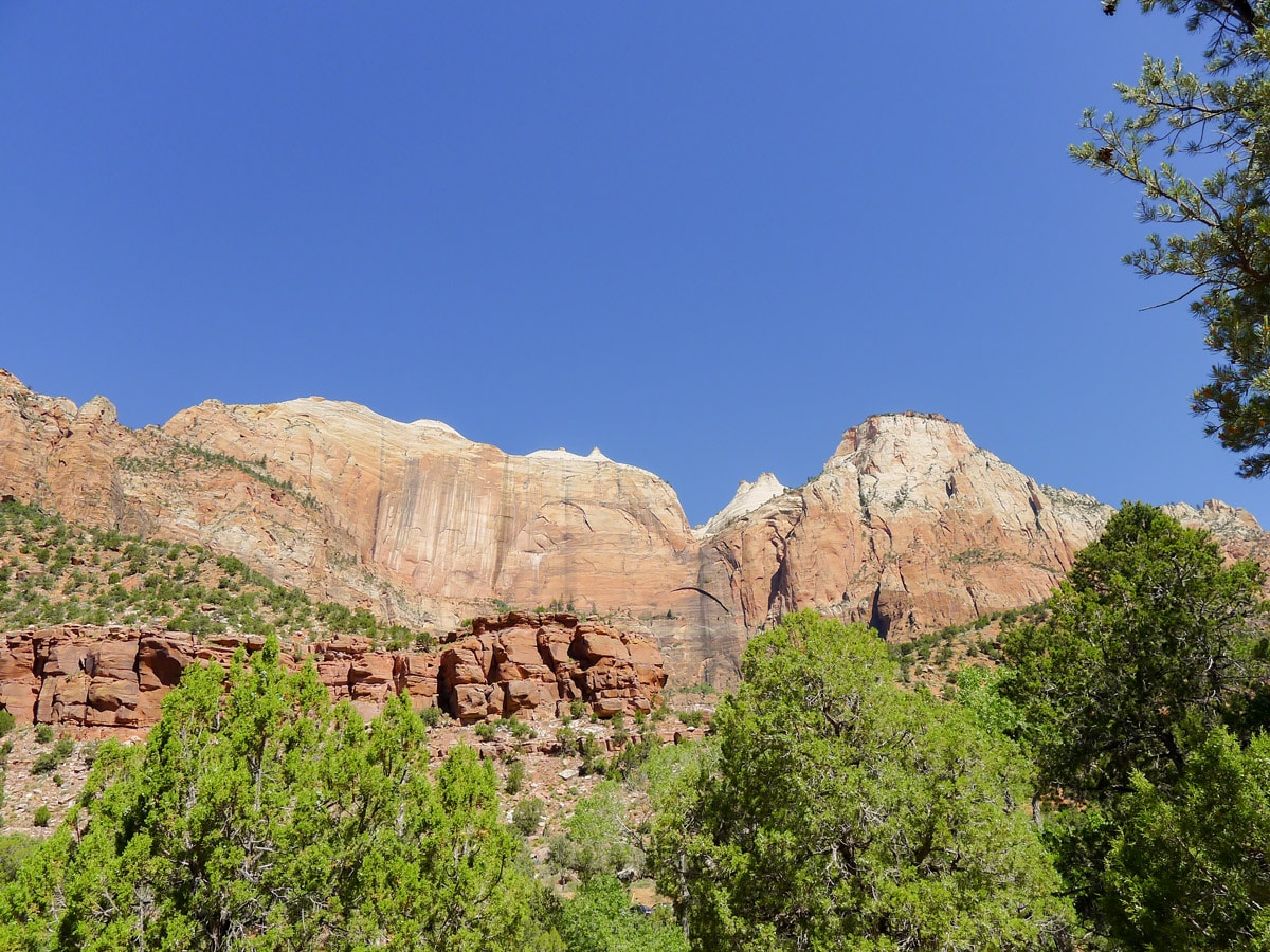Canyon walls along Pa'rus River Trail hike in Zion National Park