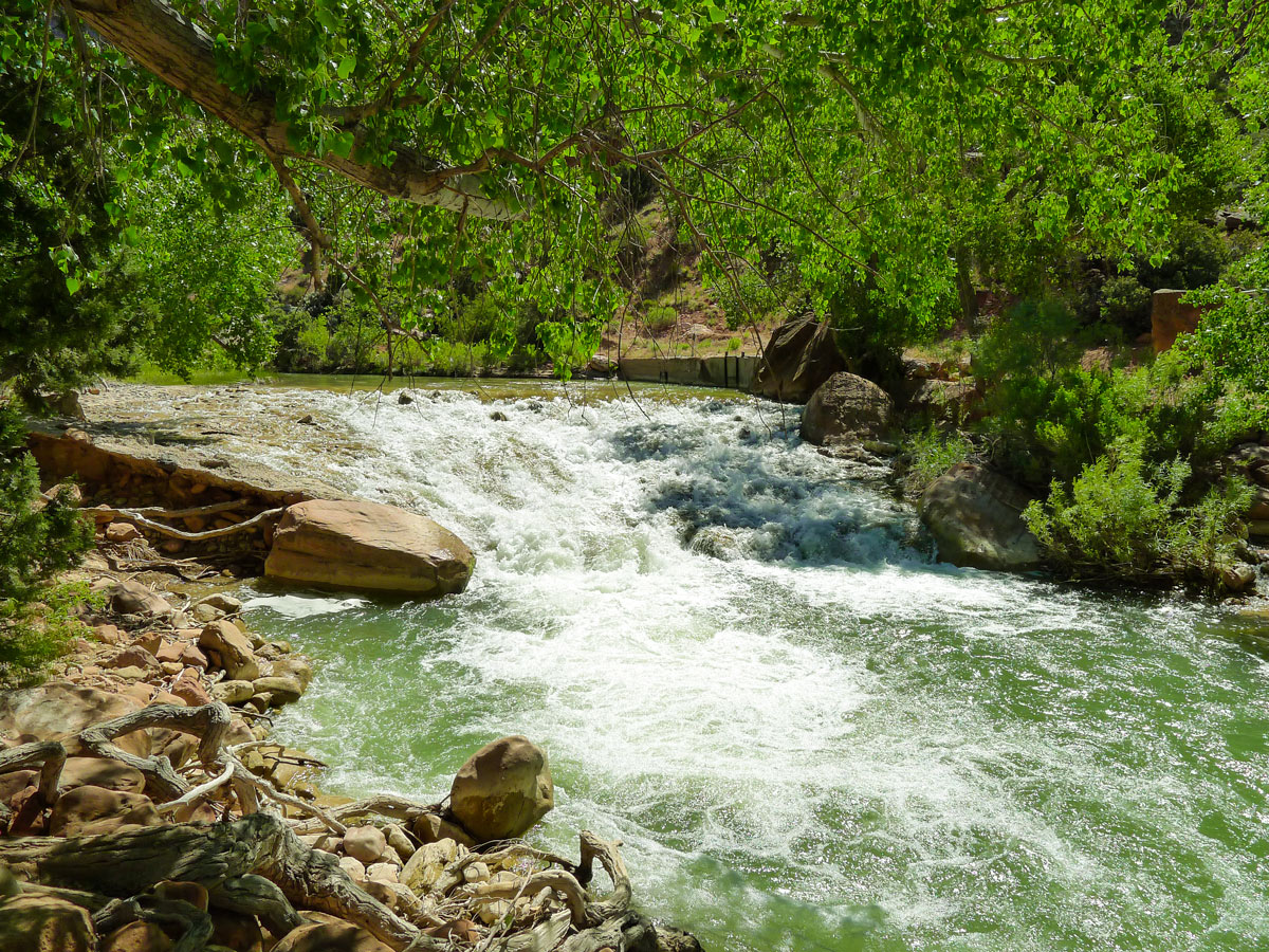 Cascading waterfall on Pa'rus River Trail hike in Zion National Park