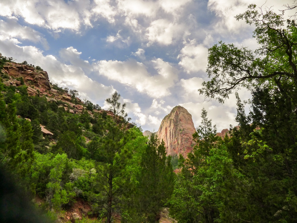 View of finger canyon on Angel's Landing hike in Zion National Park, Utah