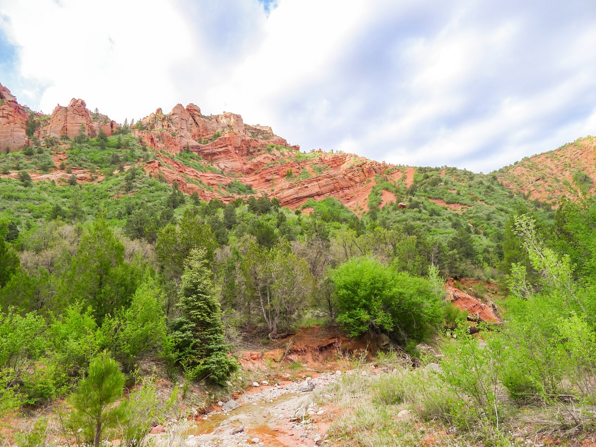 Taylor Creek Trail in Zion National Park is surrounded by beautiful rock formations