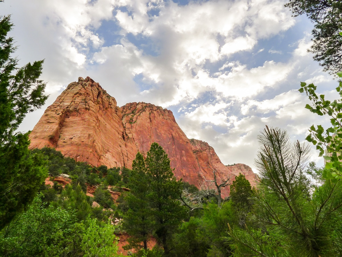 Finger Canyon on Taylor Creek Trail in Zion National Park