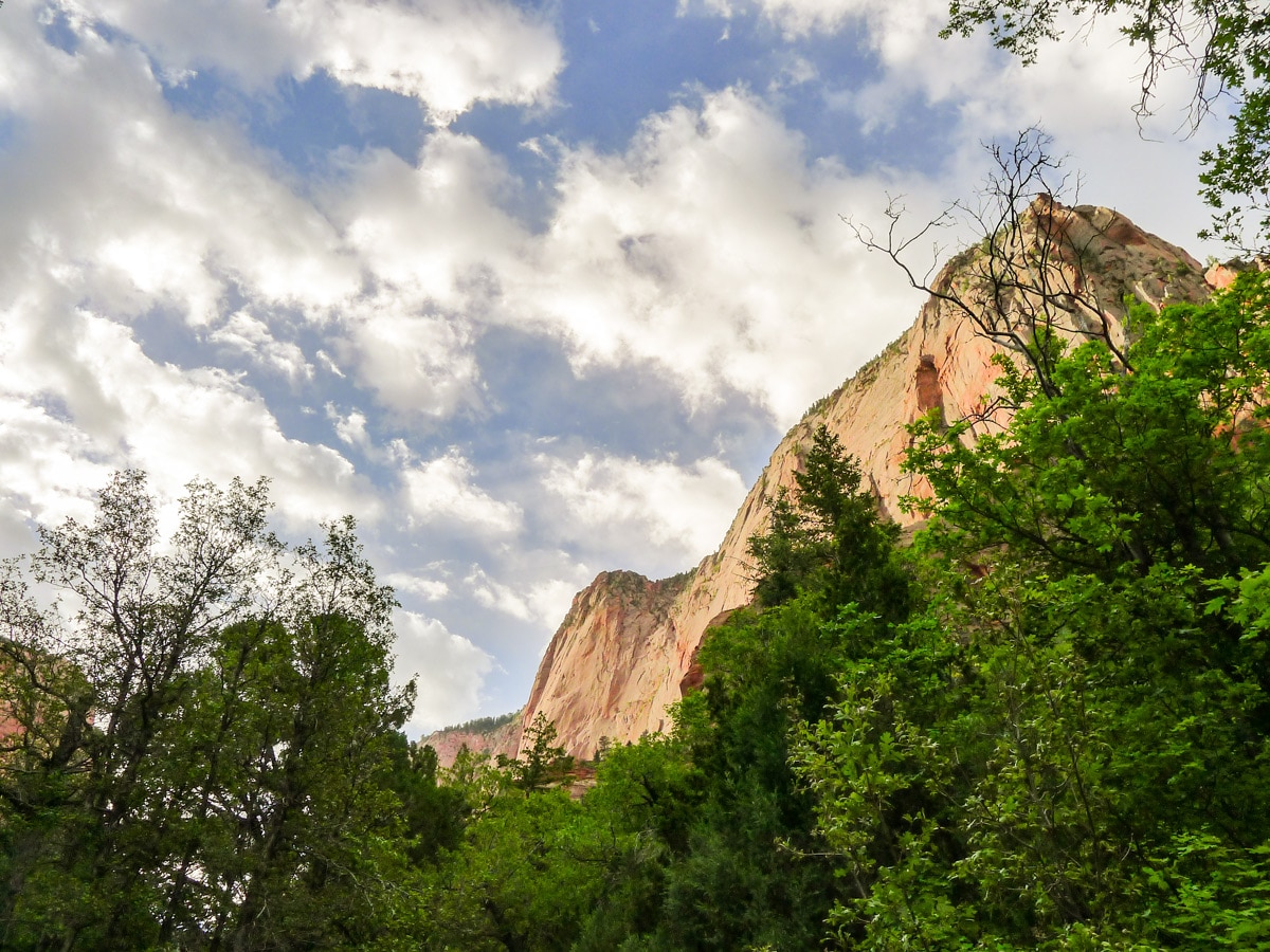 Stunning canyon walls along Taylor Creek Trail in Zion National Park