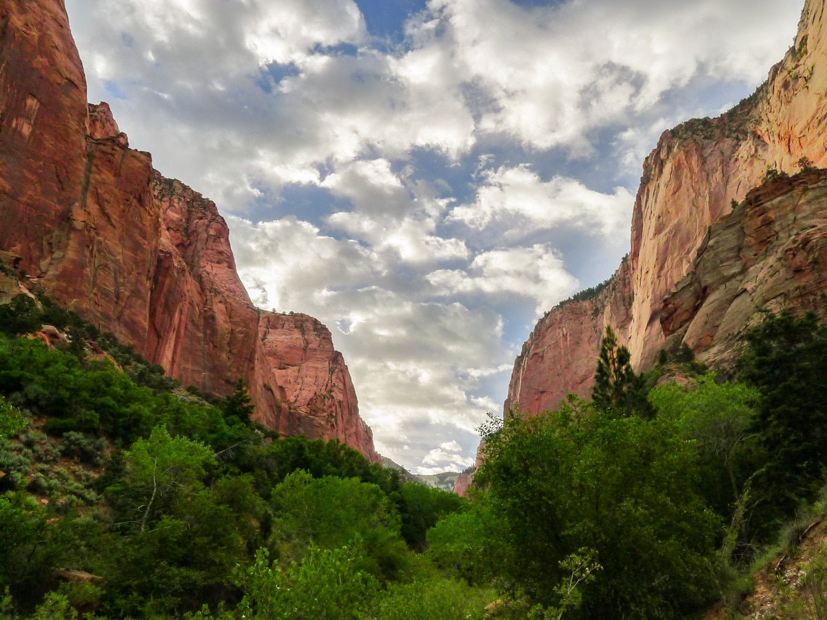 Taylor Creek Trail in Zion National Park has amazing canyon views