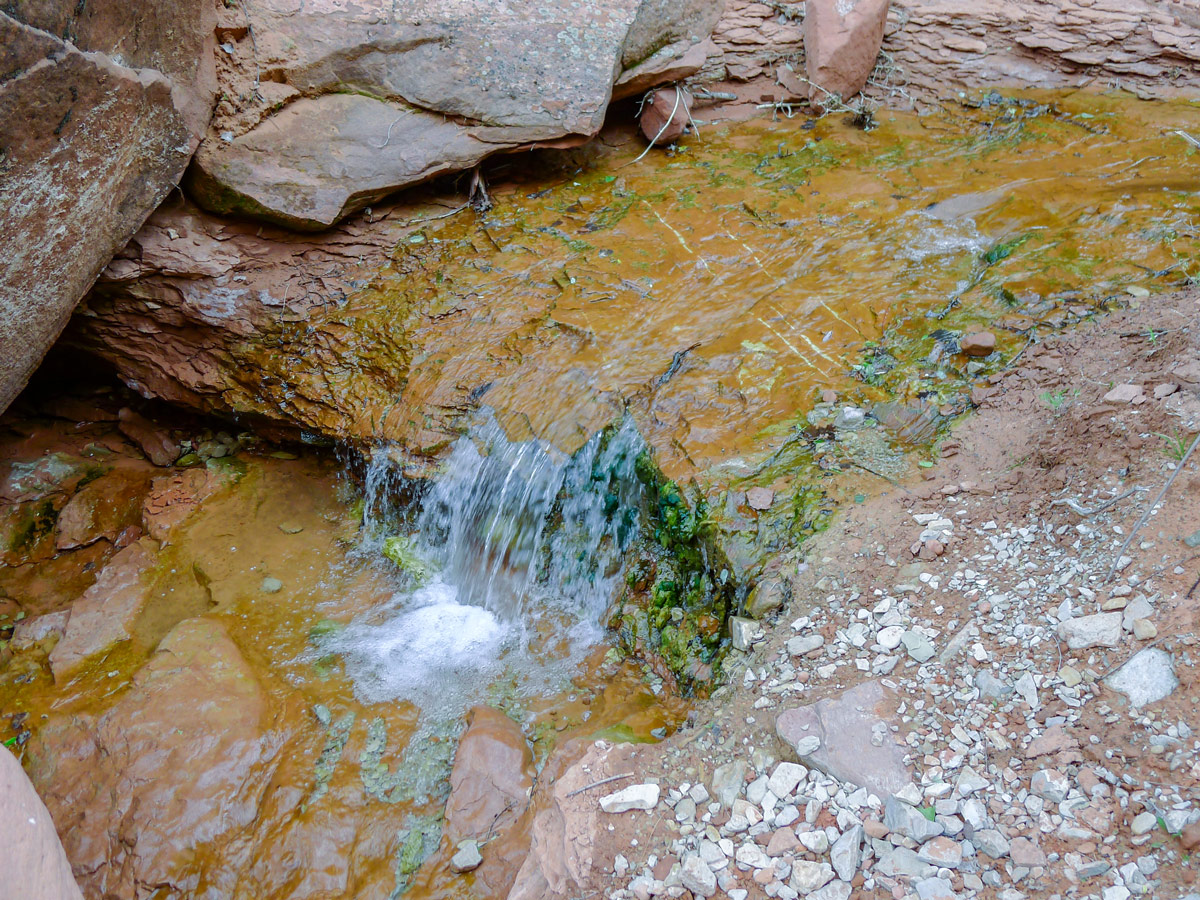 Small waterfall on Taylor Creek Trail in Zion National Park