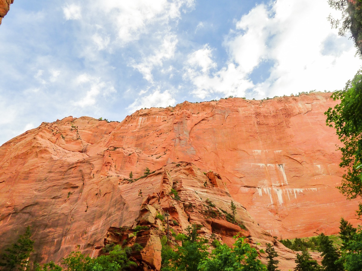 View across the canyon on Taylor Creek Trail in Zion National Park