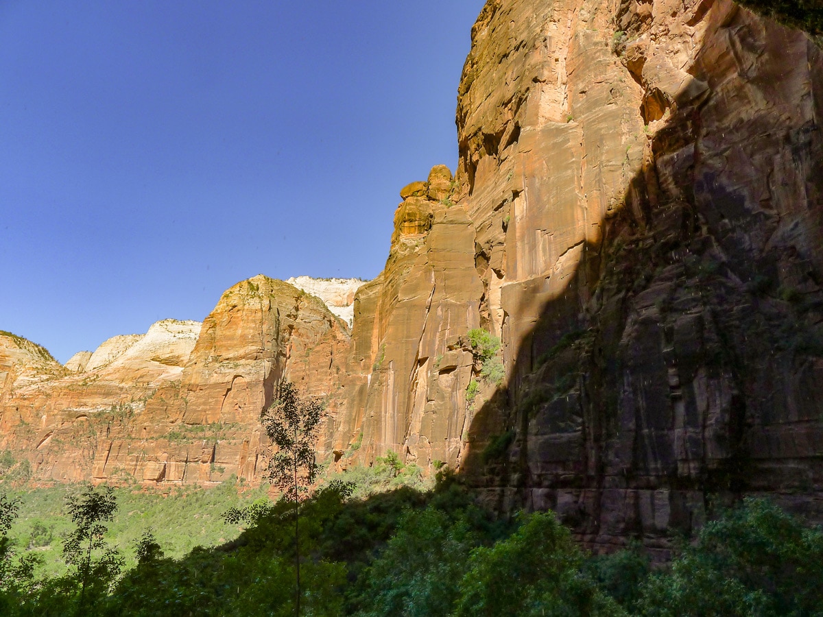 View across the valley on Weeping Wall trail in Zion National Park