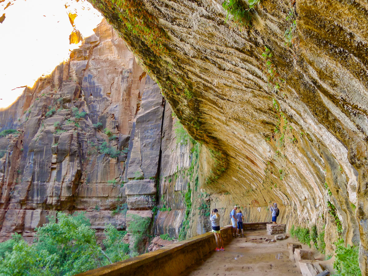 Overhanging wall on Weeping Wall trail in Zion National Park