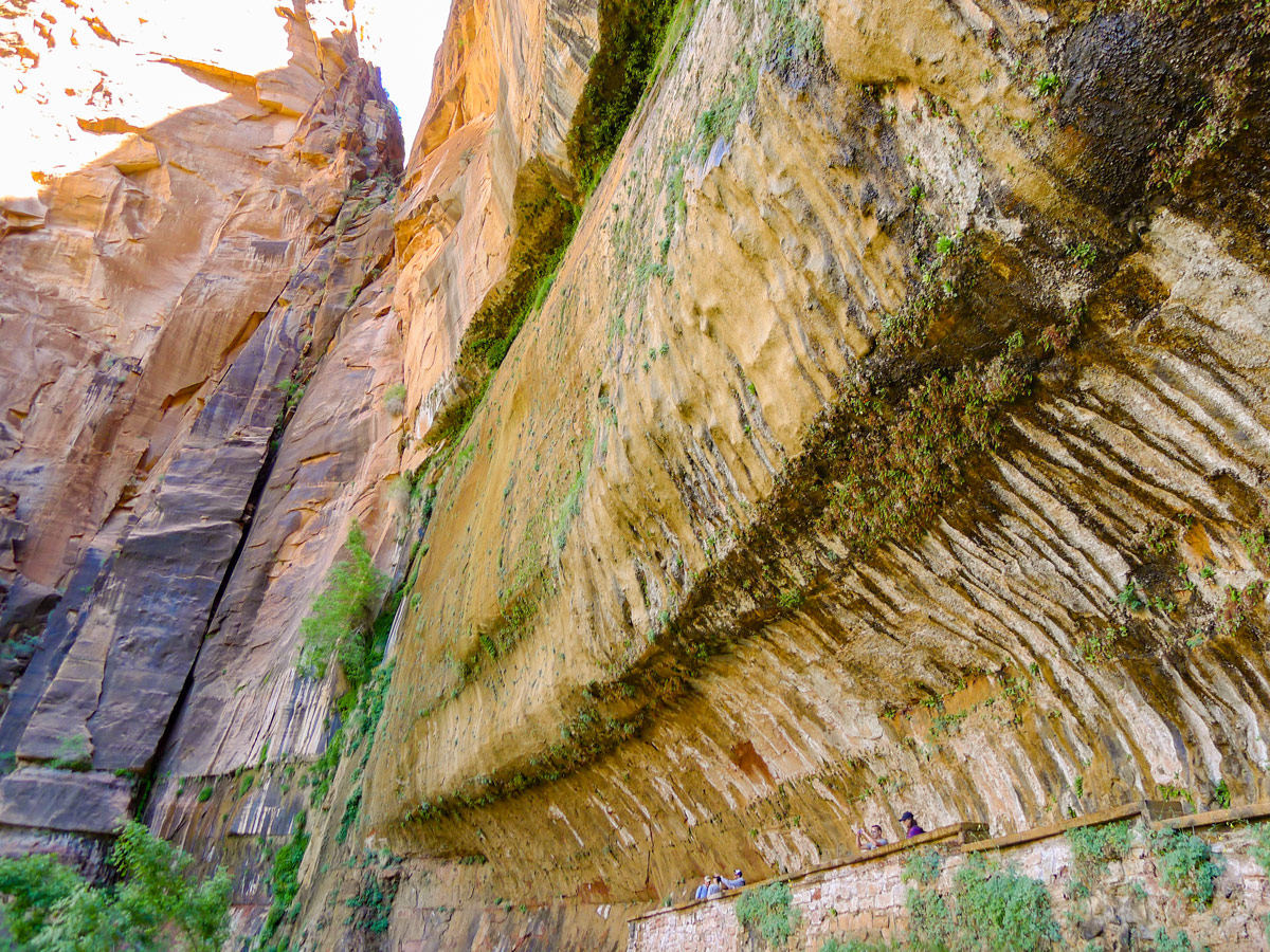 Great views on Weeping Wall trail in Zion National Park, Utah