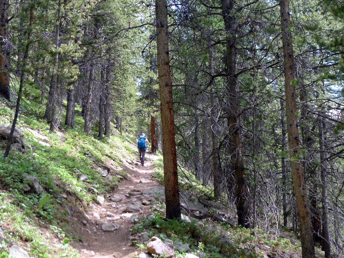 Trail of the Midway Pass Hike near Aspen, Colorado
