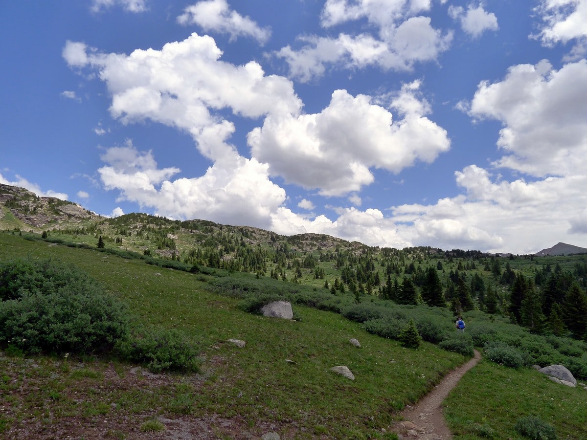 The path leading across the meadows on the Midway Pass Hike near Aspen, Colorado