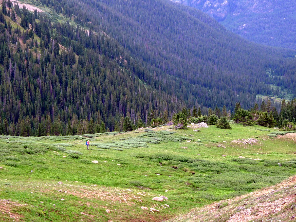 New York Creek Trail in Aspen, Colorado is one of the best hikes in the area