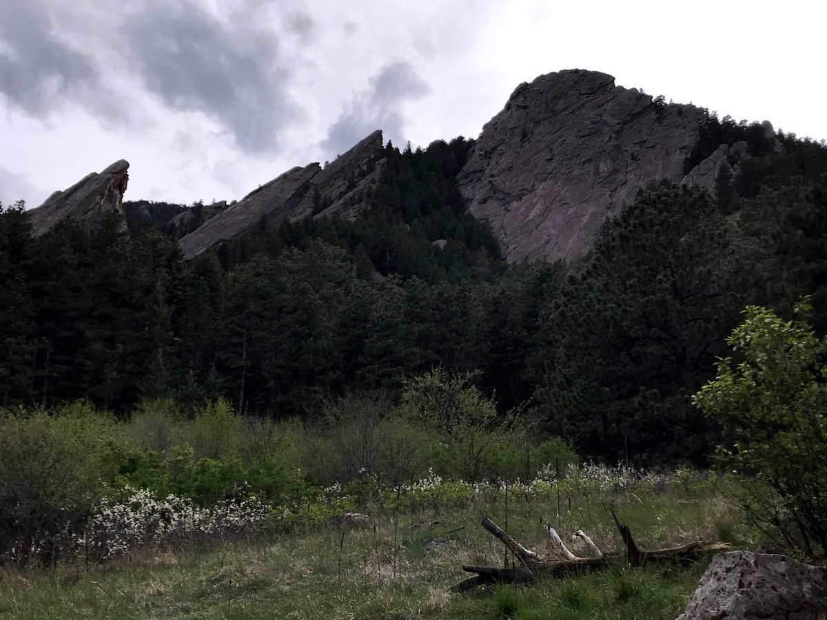 Base from the 1st Flatiron Hike near Boulder, Colorado