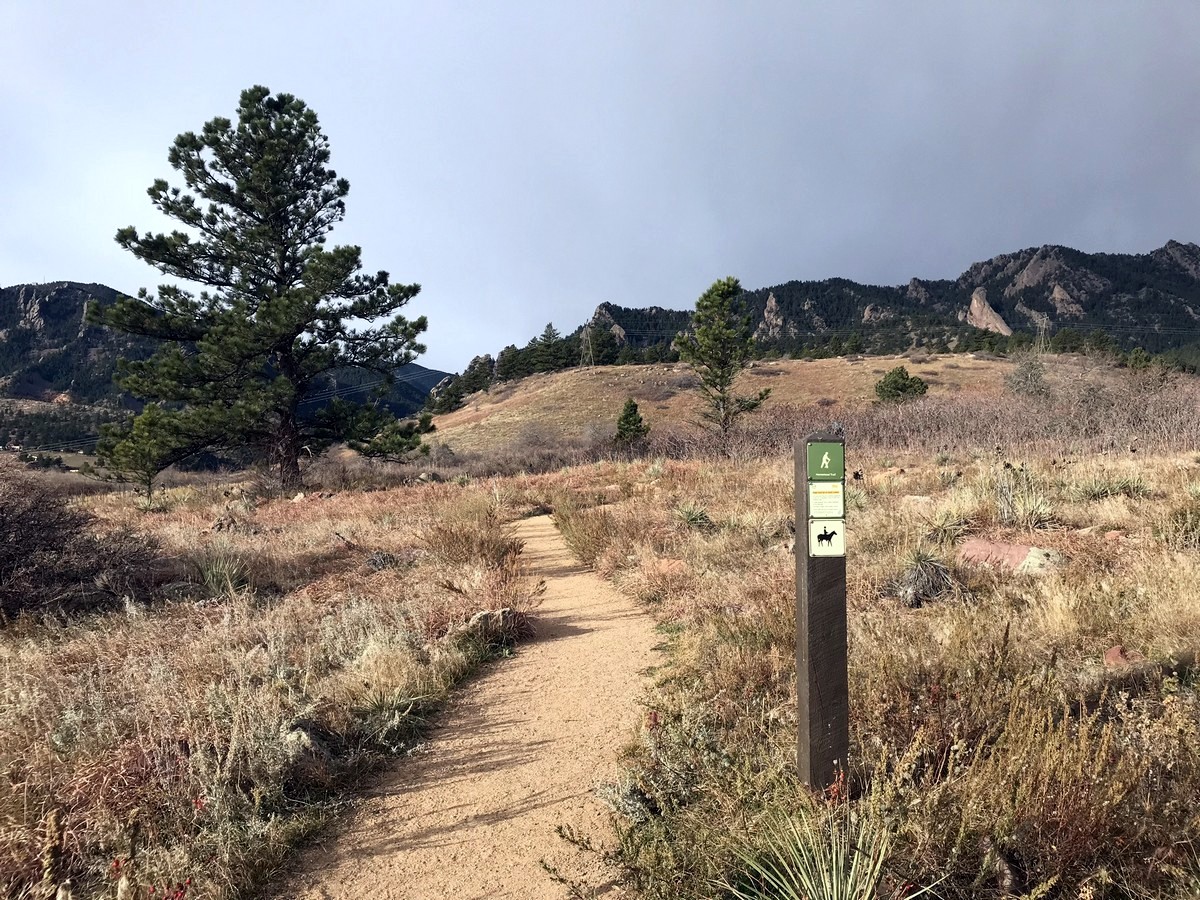 Homestead Trail on the South Boulder Peak Hike near Boulder, Colorado