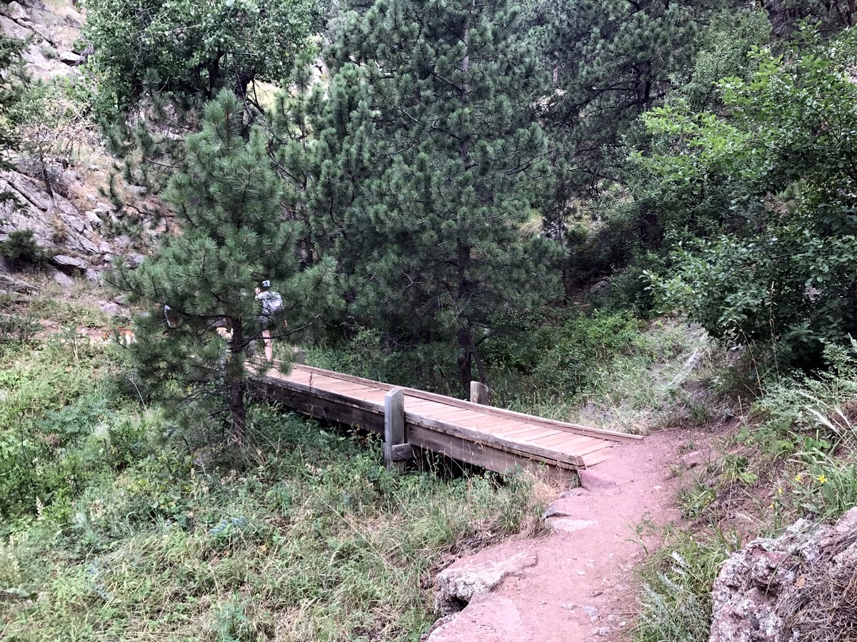 Trail on the Green Mountain Hike near Boulder, Colorado