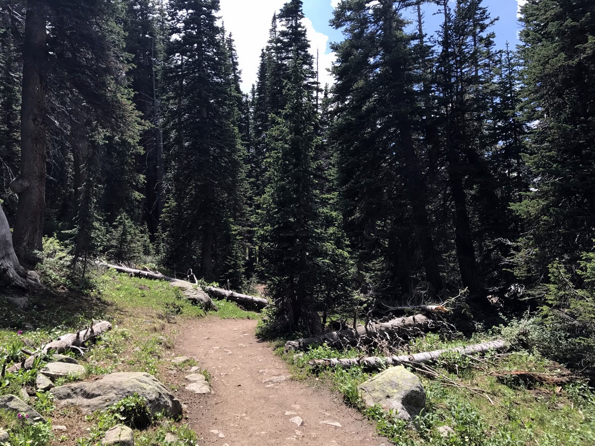 Scenery of the Long Lake Trail Hike in Indian Peaks, Colorado