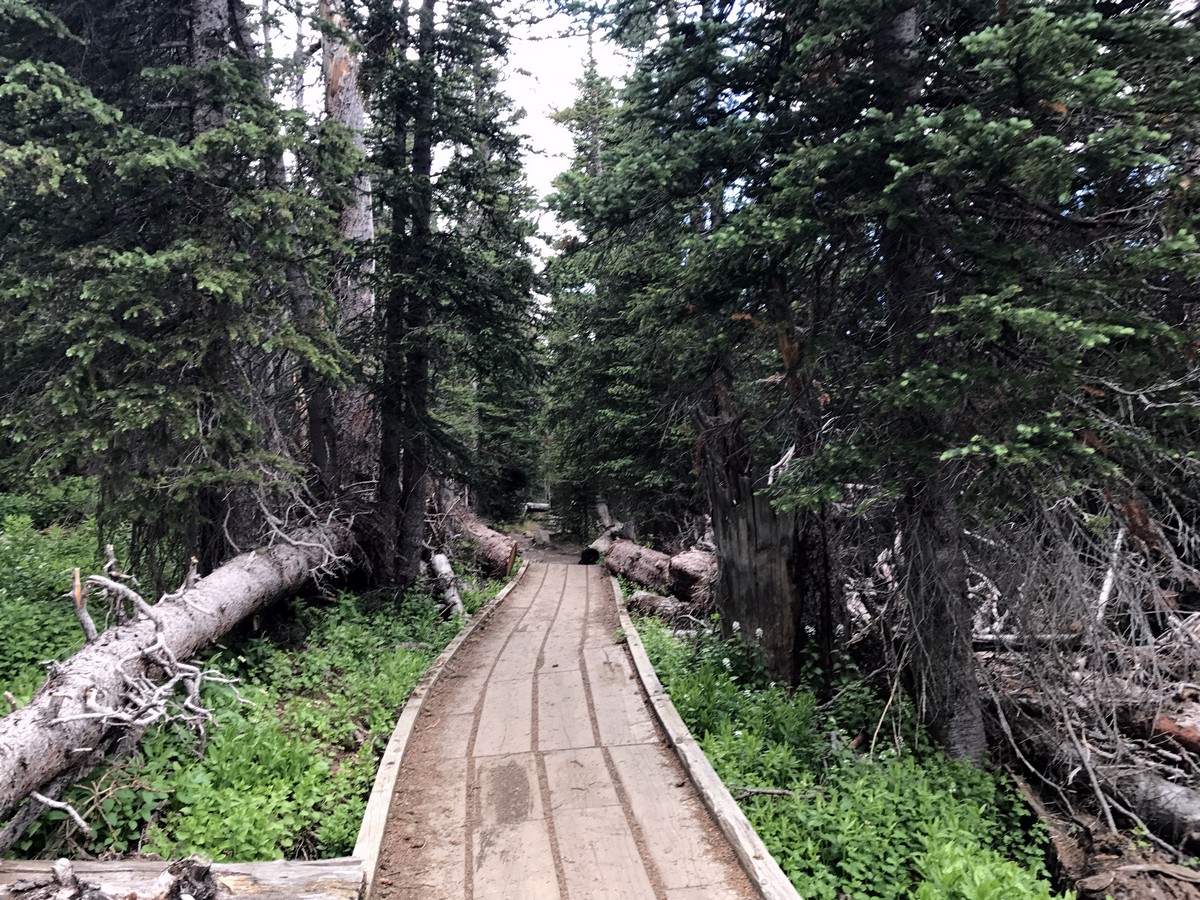 Route of good quality on the Long Lake Trail Hike in Indian Peaks, Colorado