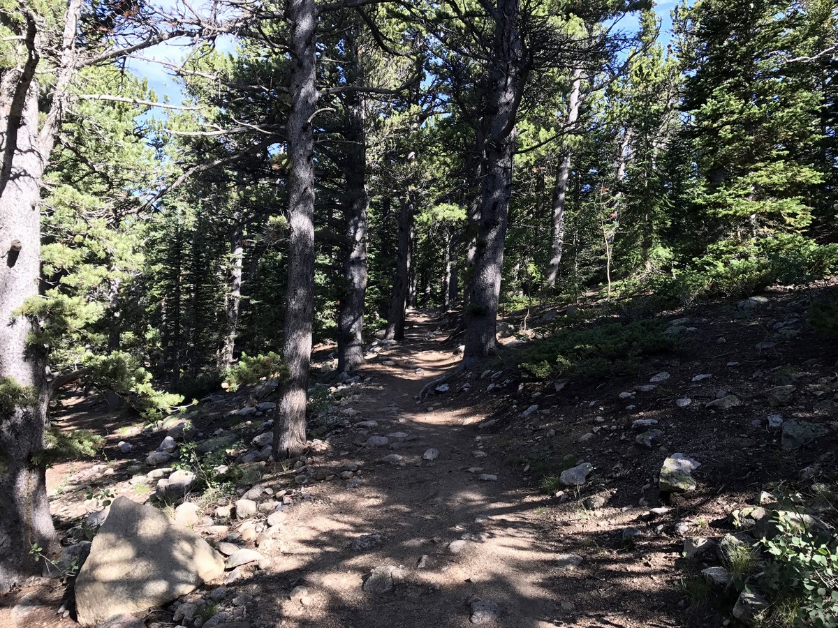 Trail of the Rainbow Lake Trail Hike in Indian Peaks, Colorado