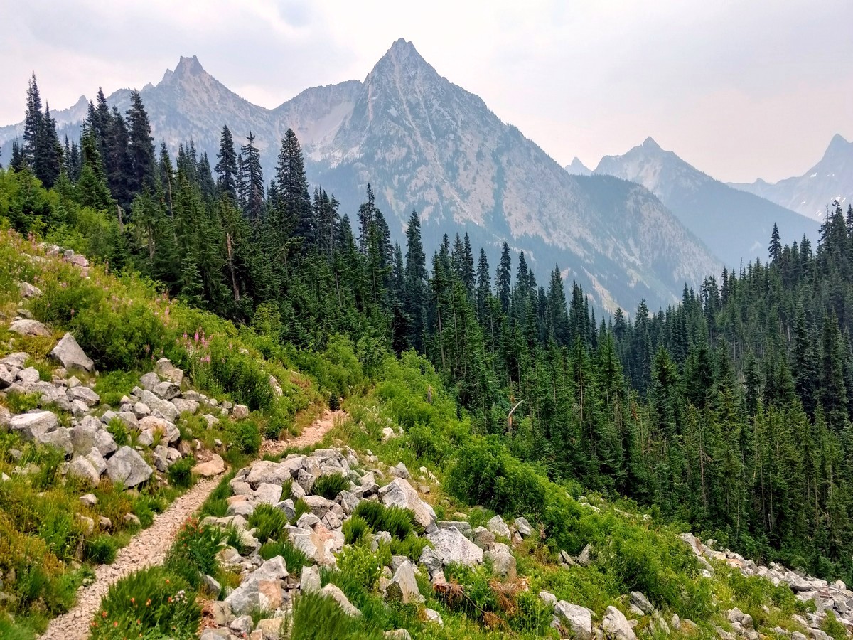 You can see Cutthroat Peak and Whistler Mountain from the Maple Pass Loop in North Cascades