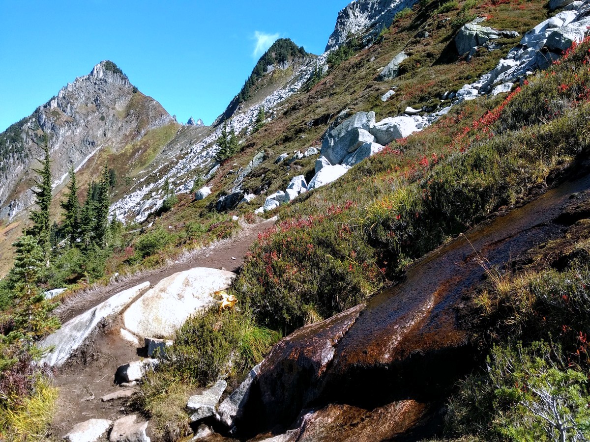 Water on the trail to the Hidden Lake, North Cascades, Washington