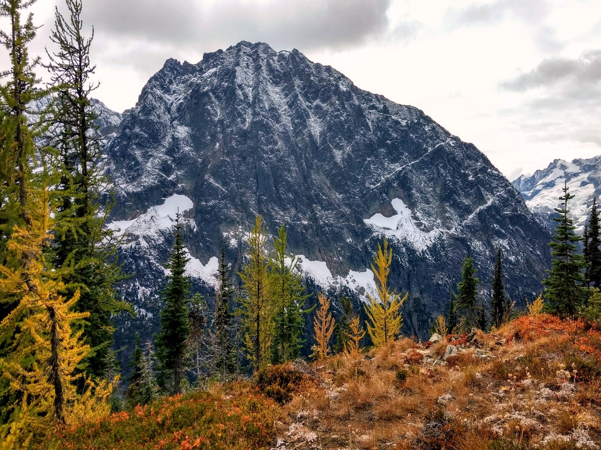 Larches from the Easy Pass trail in North Cascades, Washington