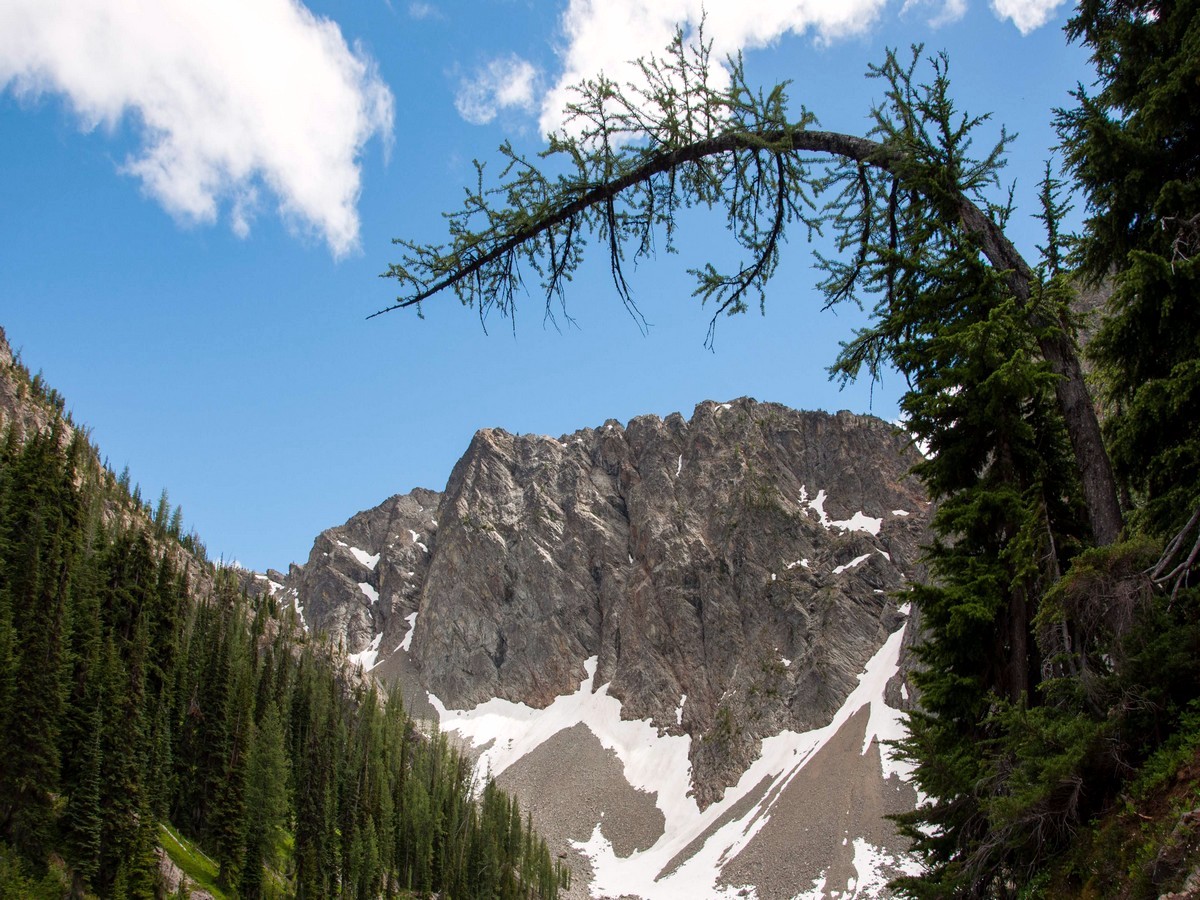 Arch over the Blue Lake trail in North Cascades, Washington