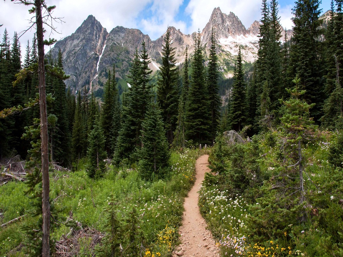 Trail back from the Blue Lake Hike in North Cascades, Washington