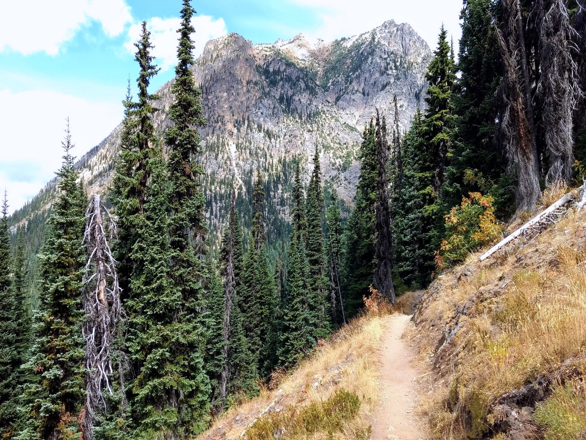 Shoulder beneath Porcupine Peak on the Cutthroat Pass Hike in North Cascades National Park, Washington