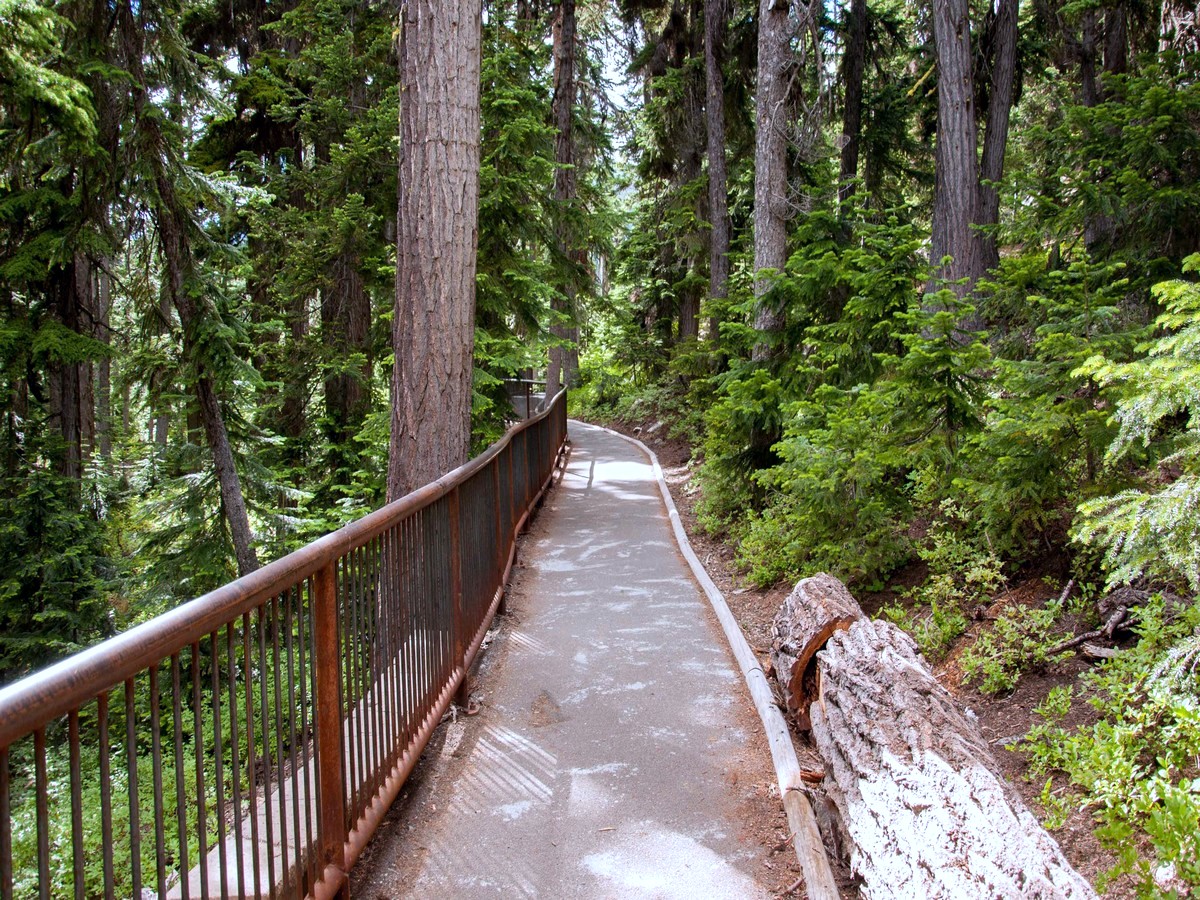 Paved path to overlook on Washington Pass in North Cascades