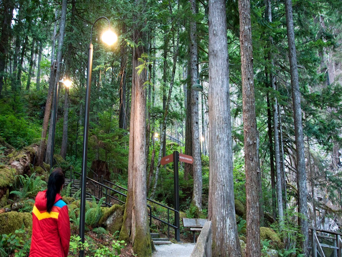 Entering the forest on the Ladder Creek Falls Hike in the North Cascades National Park, Washington