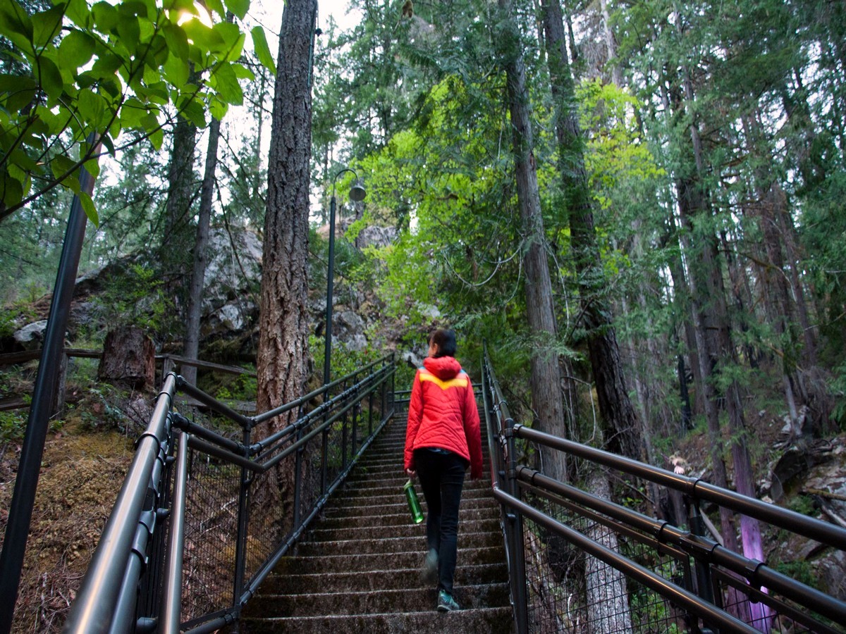 Stairs along the Ladder Creek Falls trail in the North Cascades National Park, Washington