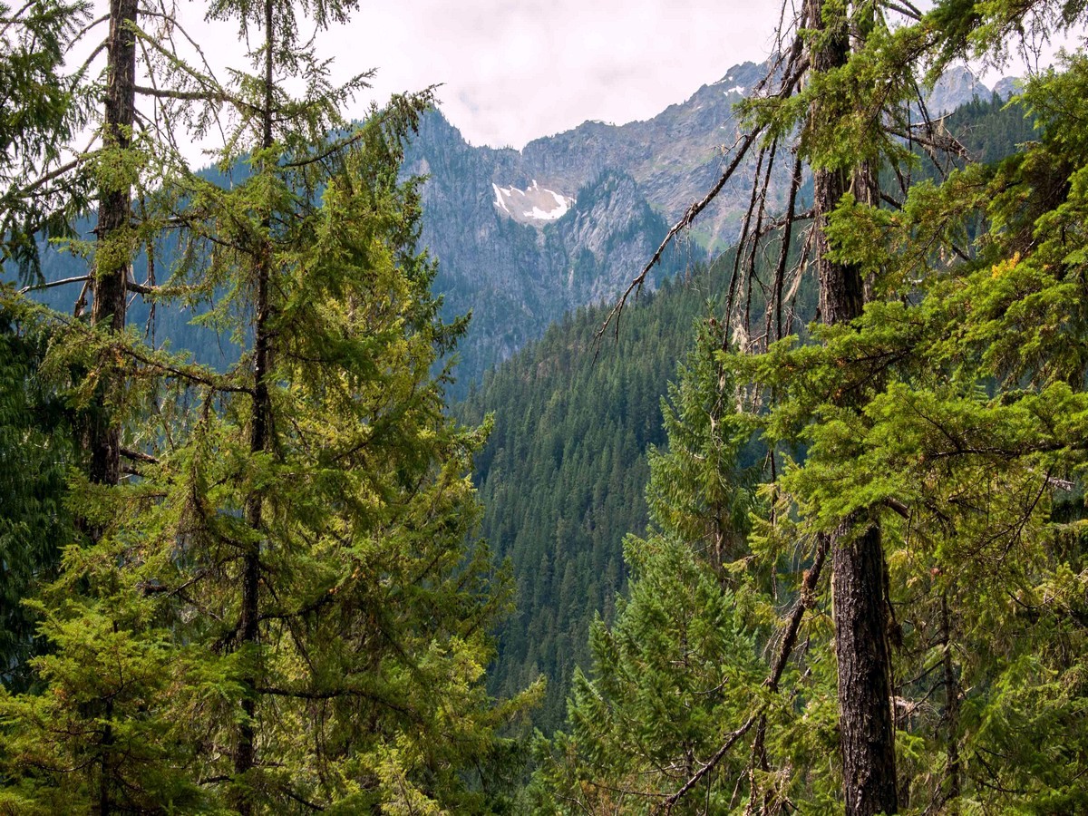 Peekaboo mountain views on the Thunder Creek Trail Hike in North Cascades National Park, Washington