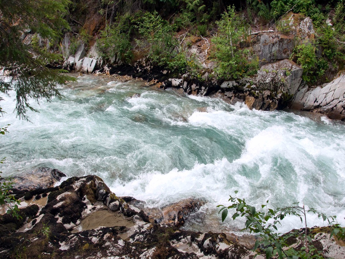 Thunder Creek on the Thunder Creek Trail Hike in North Cascades National Park, Washington