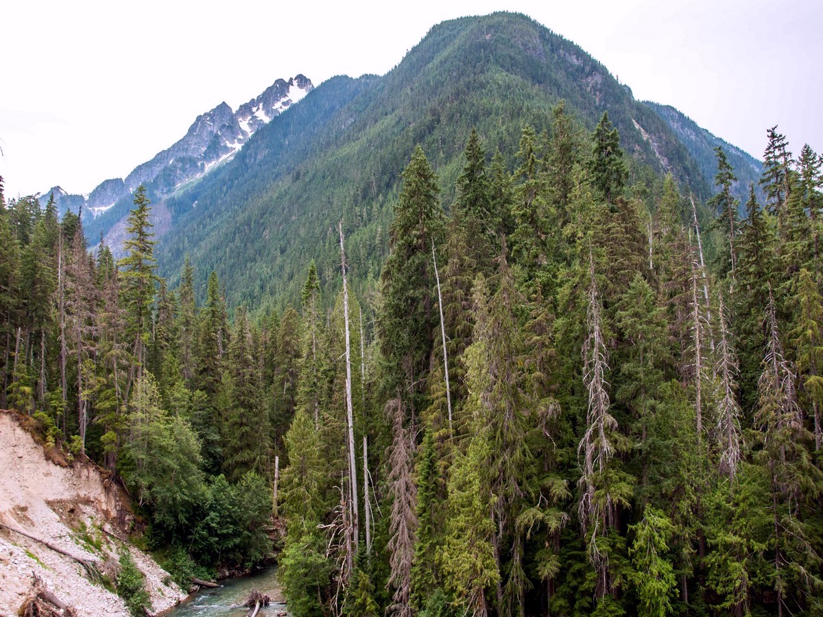 View of washout near Horse Camp on the Thunder Creek Trail Hike in North Cascades National Park, Washington