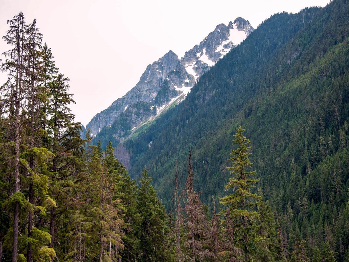 Tricounin Peak on the Thunder Creek Trail Hike in North Cascades National Park, Washington