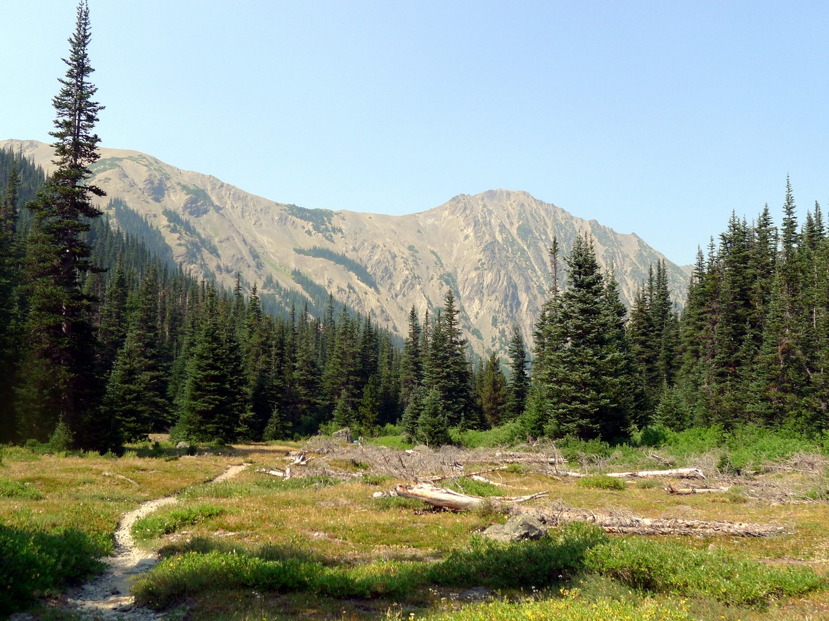 Lower meadows on the Royal Basin hike in Olympic National Park