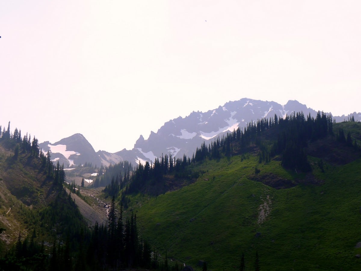 Looking up before the final climb to the Royal Basin hike in Olympic National Park