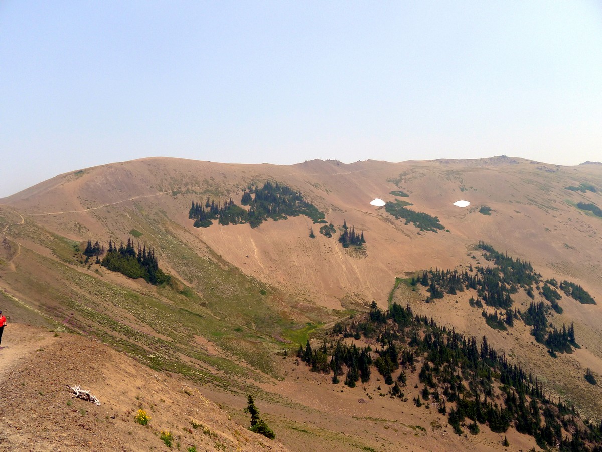 The valley from the Obstruction Point Hike in Olympic National Park, Washington